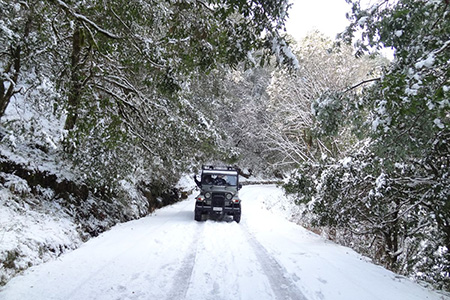 Mountain Quail Lodge