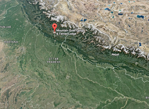 Mountain Quail Lodge