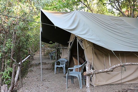 The Tents