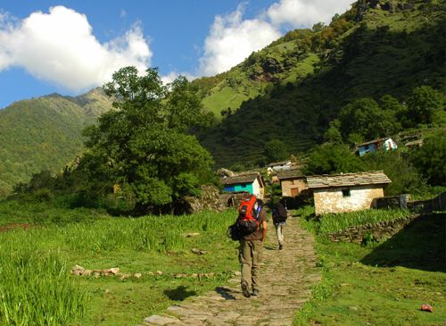 Mountain Quail Lodge